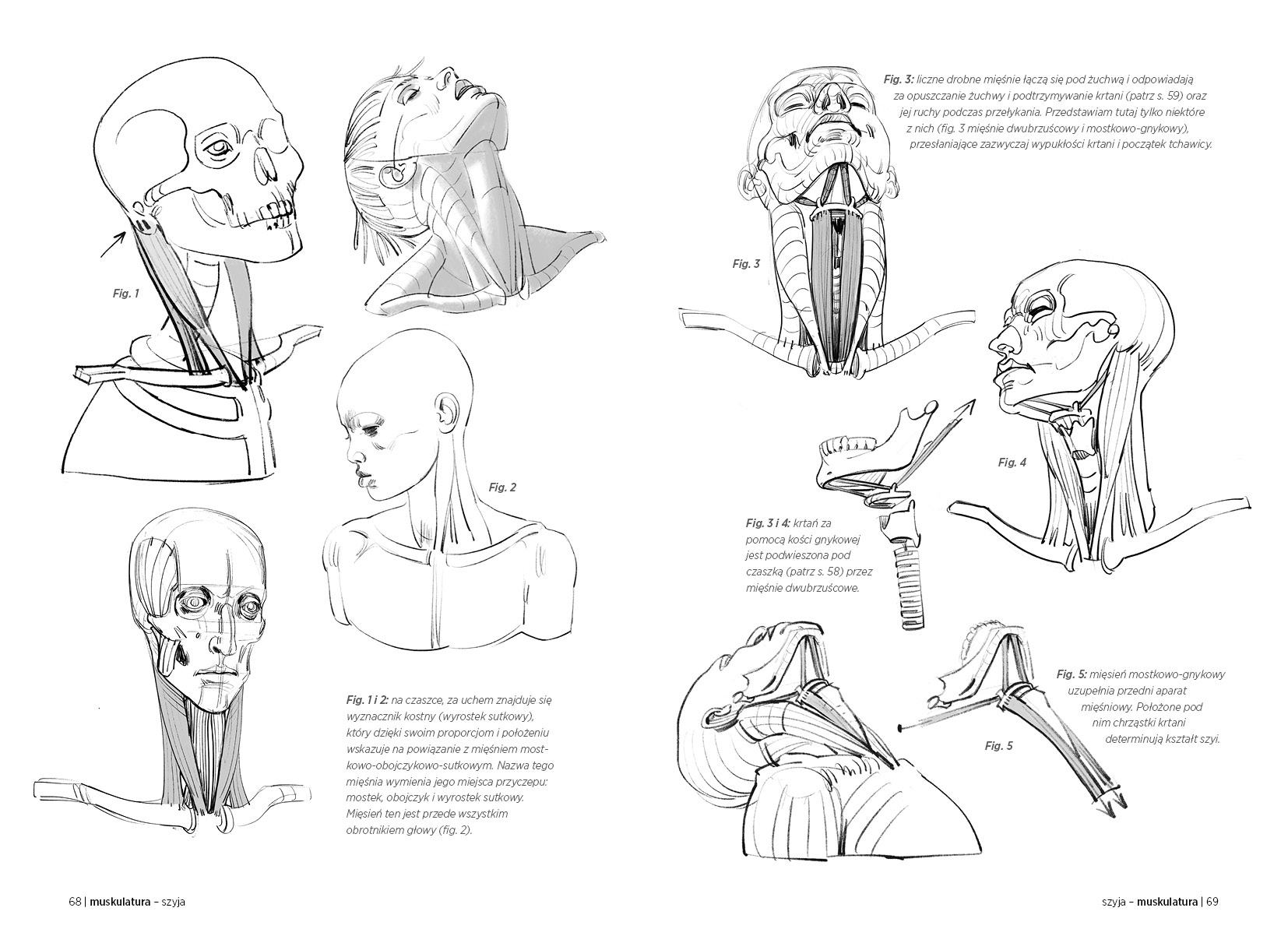 Zapowiedź. Morpho. Twarz, głowa i szyja. Michel Lauricella Morpho._Twarz__glowa_i_szyja_rozkladowki5