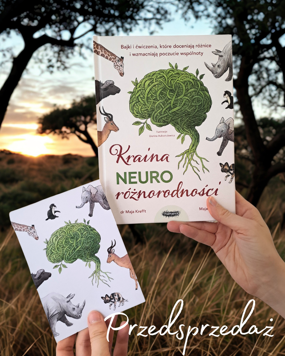 Zapowiedź. Kraina neuroróżnorodności. Bajki i ćwiczenia, które doceniają różnice i wzmacniają poczucie wspólnoty Przedsprzedaz_Kraina