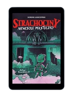 EBOOK Strachociny. Niewesołe miasteczko