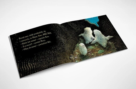 Małe sówki. Martin Waddell