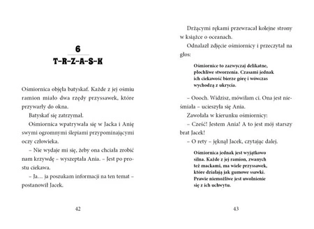 OUTLET Magiczny domek na drzewie. Nurkowanie z delfinami