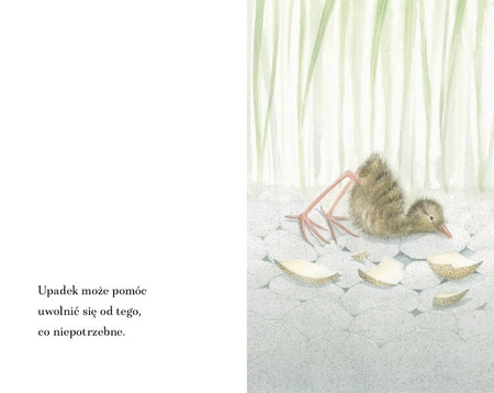 Dla tych, którzy chcą latać. Pirkko Vainio