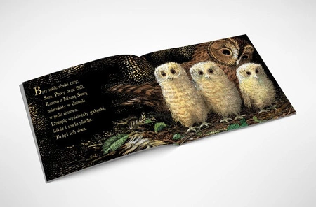 Małe sówki. Martin Waddell