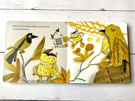 Kolorowy potwór. Książka kartonowa. Anna Llenas