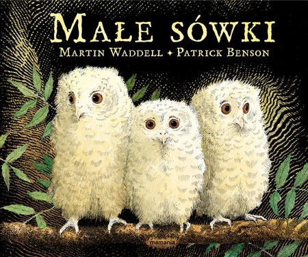 Małe sówki. Martin Waddell