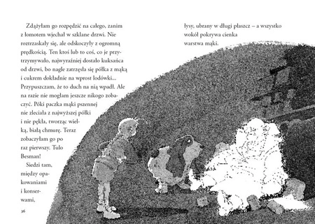 Nelly Rapp i nawiedzony sklep. Martin Widmark