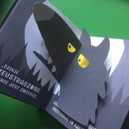 Kto się kryje w lesie? Książka pop-up. Eryl Norris, Andy Mansfield