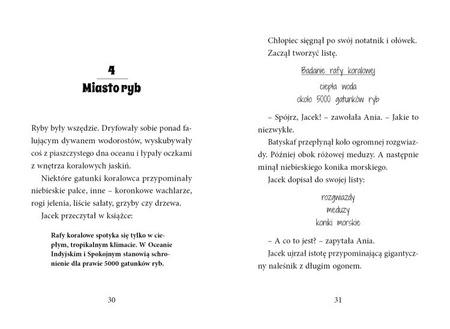 Magiczny domek na drzewie. Nurkowanie z delfinami