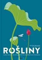 Rośliny. Cuda natury na wyjątkowych ażurowych rycinach 