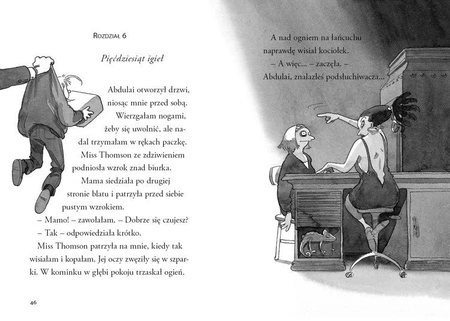 OUTLET Nelly Rapp i szamanka. Martin Widmark