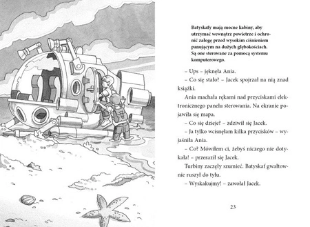 OUTLET Magiczny domek na drzewie. Nurkowanie z delfinami