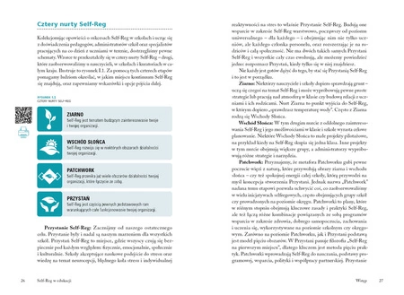 Self-Reg w edukacji. Przewodnik dla nauczycieli, pedagogów i psychologów szkolnych. Stuart Shanker
