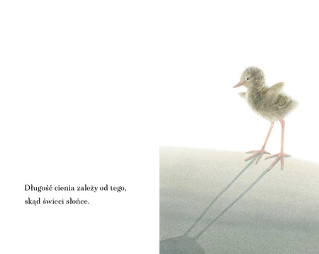 Dla tych, którzy chcą latać. Pirkko Vainio