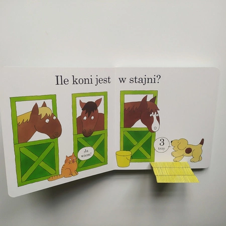 Spot umie liczyć. Eric Hill