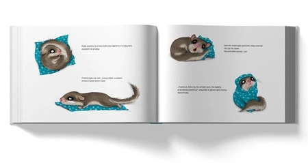 OUTLET Historia małej popielicy, która nie mogła zasnąć. Sabine Bohlmann, Kerstin Schoene